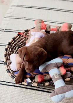 OYOY ZOO Ashi Dog Toy