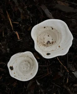 Studio Aarhus Duckling espresso