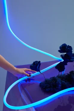 Studio About Flex Lamp / Flex Tube Blue - 5 Meter Sale