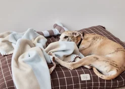 OYOY ZOO Kaya Dog Blanket