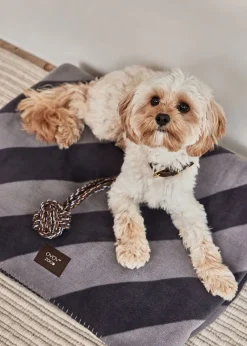 OYOY ZOO Kaya Dog Blanket 206 Black Best