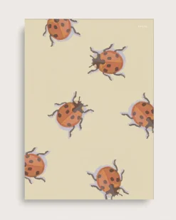 Kinder Taishō Marolle