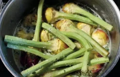 New Mags Osteria 16 No. 2