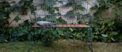 HOUE Paon bench