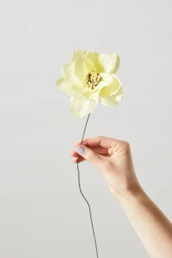 Studio About Paper Flower, Dahlia