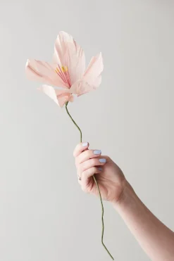 Studio About Paper Flower, Lily