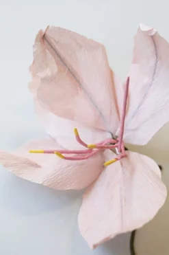 Studio About Paper Flower, Lily
