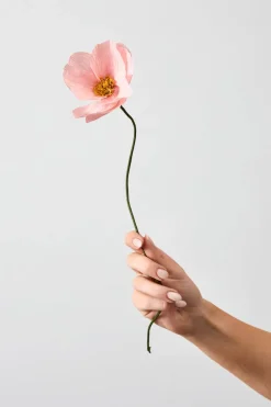 Studio About Paper Flower, Windflower Rose Hot