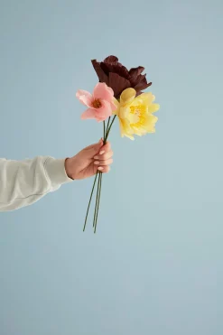 Studio About Paper Flower, Windflower Rose Hot