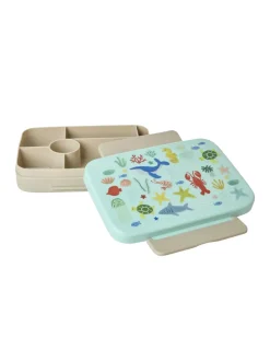 Kinder Rice Plastic Lunchbox With 6 Rooms