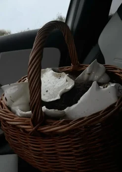 Studio Aarhus Reden White Discount