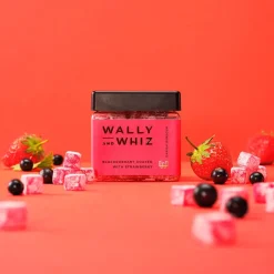 Wally and Whiz Winegum small